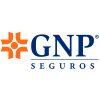 GNP